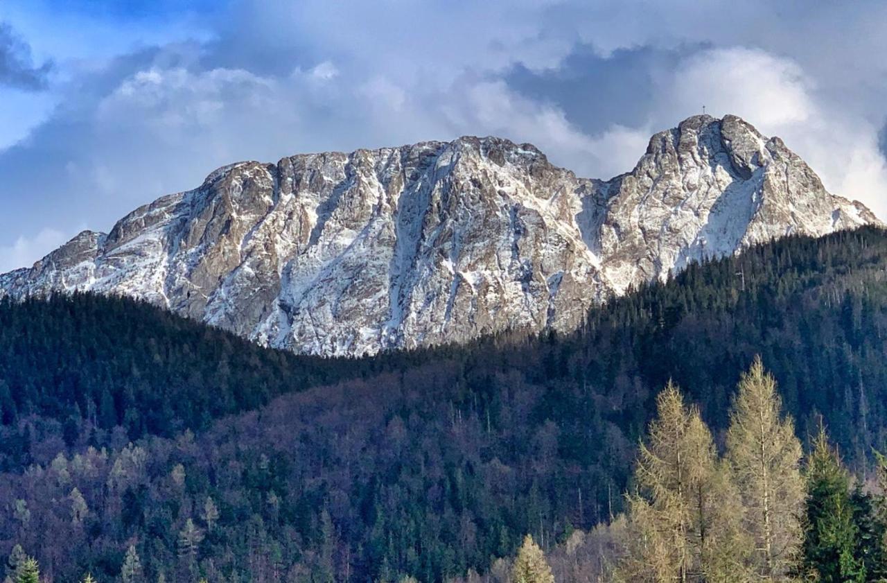 Apartament Rysy Apartamentyzakopianskie Basen Sauna Jacuzzi Zakopane Buitenkant foto